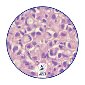 LABORATORIO PATOLOGÍA (11)