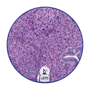 LABORATORIO PATOLOGÍA (13)