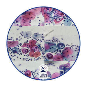 LABORATORIO PATOLOGÍA (2)