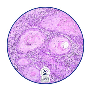 LABORATORIO PATOLOGÍA (7)