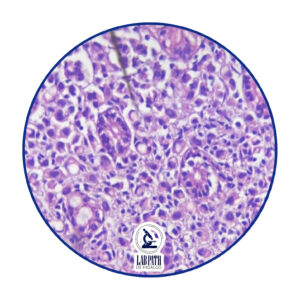 LABORATORIO PATOLOGÍA (8)